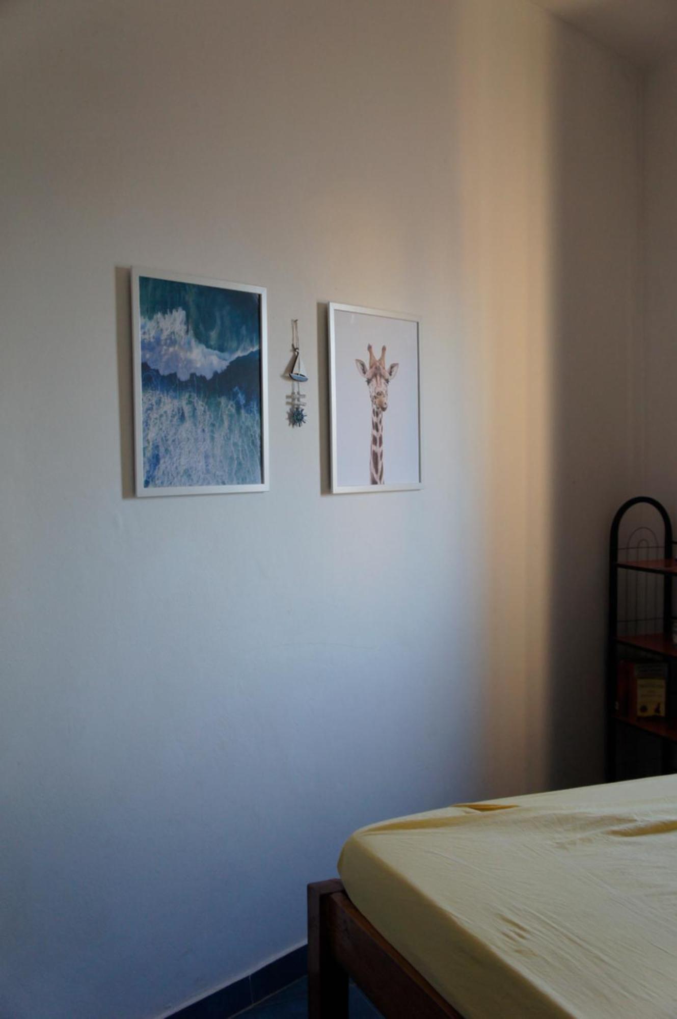 Apart-Hotel Ca Elsa Sal Rei Værelse billede