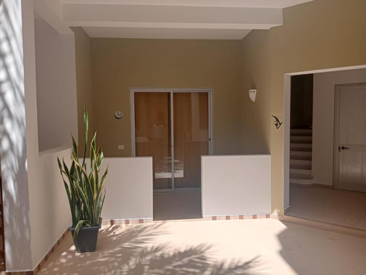 Apart-Hotel Ca Elsa Sal Rei Værelse billede